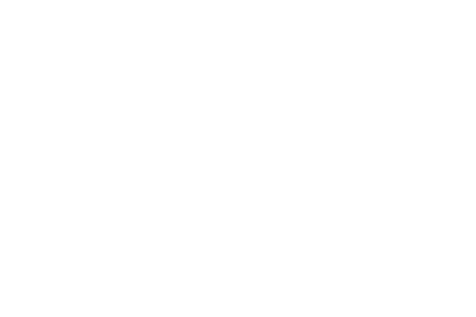 Dog Eat Fly